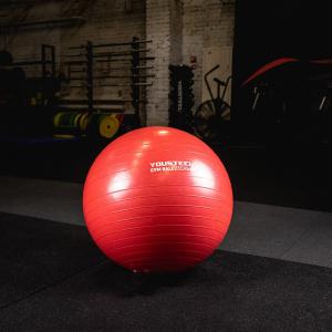 Купить Гимнастический мяч Yousteel Hard 55см в Углегорске 